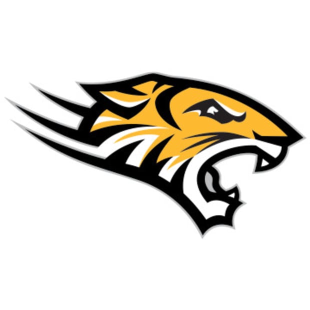 Towson Tigers Logo